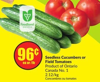 Chalo FreshCo Seedless cucumbers or field tomatoes product of ontario canada no. 1 2.12/kg offer