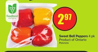 Chalo FreshCo Sweet bell peppers 4 pk product of ontario offer