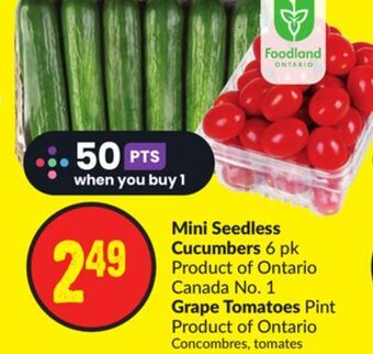 Chalo FreshCo Mini seedless cucumbers 6 pk product of ontario canada no. 1 grape tomatoes pint product of ontario offer