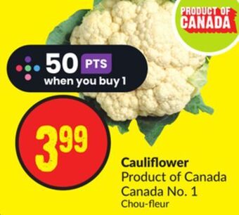 Chalo FreshCo Cauliflower product of canada canada no. 1 offer