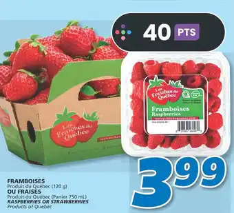 IGA RASPBERRIES OR STRAWBERRIES 120g offer