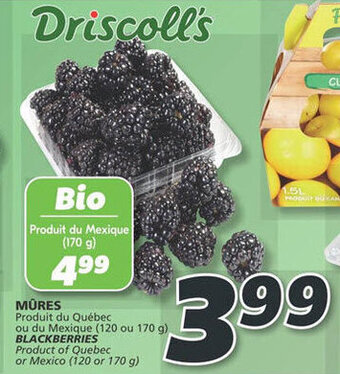 IGA BLACKBERRIES 120 or 170 g offer