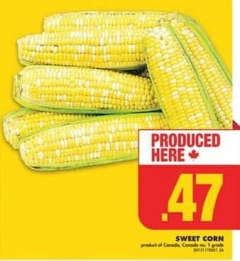 No Frills SWEET CORN offer