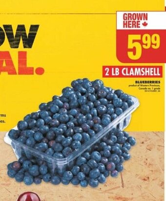 No Frills BLUEBERRIES offer