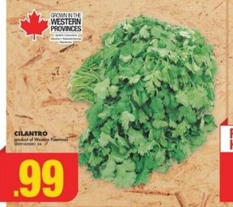 No Frills CILANTRO offer