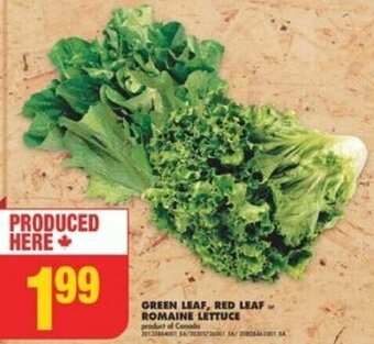 No Frills GREEN LEAF, RED LEAF or ROMAINE LETTUCE offer