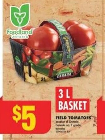 No Frills FIELD TOMATOES offer