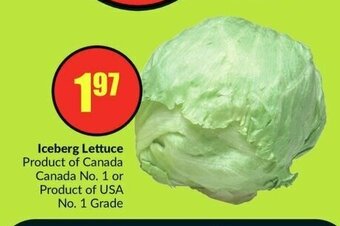 FreshCo Iceberg Lettuce offer