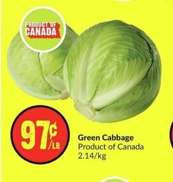 FreshCo Green Cabbage offer