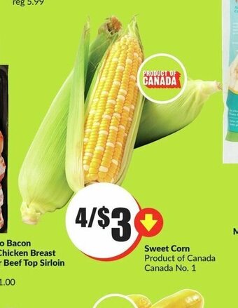 FreshCo Sweet Corn offer