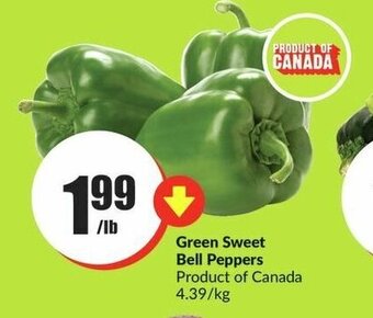 FreshCo Green Sweet Bell Peppers offer