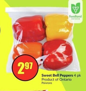 FreshCo Sweet Bell Peppers offer