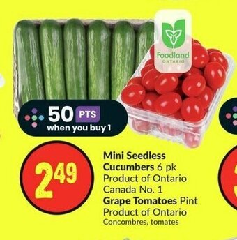 FreshCo Mini Seedless Cucumbers or Grape Tomatoes offer