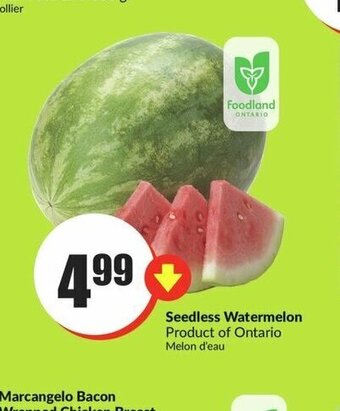 FreshCo Seedless Watermelon offer