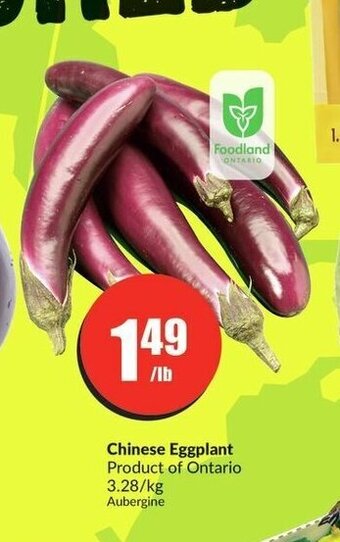 FreshCo Chinese Eggplant offer