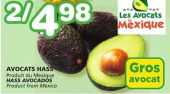 IGA HASS AVOCADOS offer