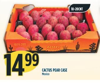 Marché Adonis Cactus pear case offer