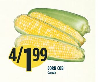 Marché Adonis Corn cob offer