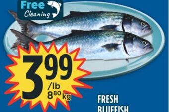 Marché Adonis Fresh bluefish offer