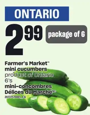 Independent City Market Farmer's market™ mini cucumbers, 6's offer