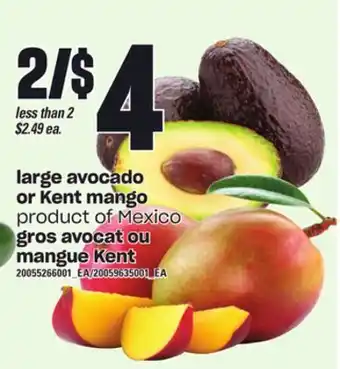 Independent City Market Large avocado or mango kent offer