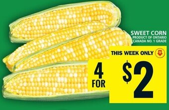 Food Basics SWEET CORN offer