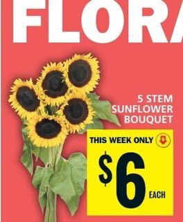 Food Basics 5 STEM SUNFLOWER BOUQUET offer