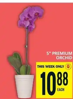 Food Basics 5" PREMIUM ORCHID offer