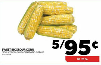 Real Canadian Superstore SWEET BICOLOUR CORN offer