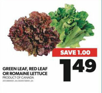 Real Canadian Superstore GREEN LEAF, RED LEAF OR ROMAINE LETTUCE offer