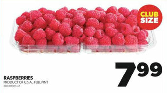 Real Canadian Superstore RASPBERRIES offer