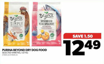 Real Canadian Superstore PURINA BEYOND DRY DOG FOOD offer