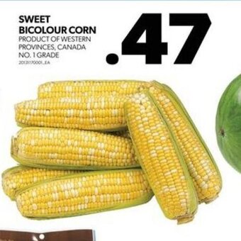 Real Canadian Superstore SWEET BICOLOUR CORN offer