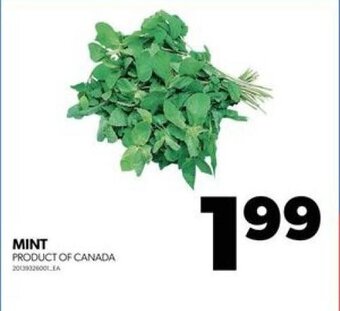 Real Canadian Superstore MINT offer