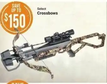 Bass Pro Crossbows offer