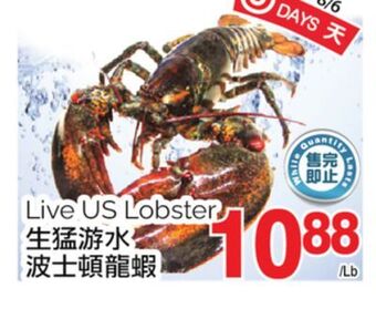 T&T Supermarket Live us lobster offer