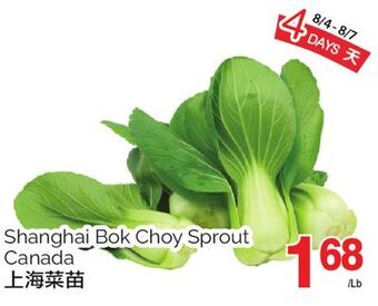 T&T Supermarket Shanghai bok choy sprout offer