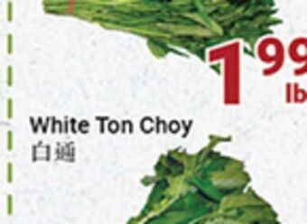 Oceans Fresh Food Market White ton choy offer
