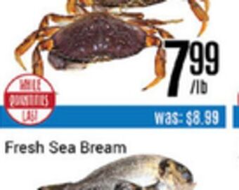 Nations Fresh Foods Fresh sea bream offer