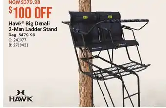 Hawk® big denali 2-man ladder stand