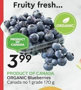 Sobeys ORGANIC Blueberries offer