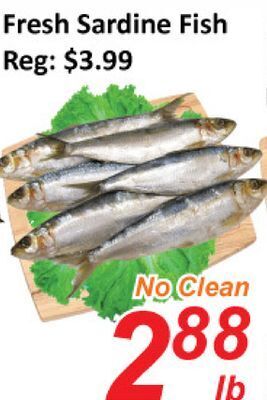 Seasons Foodmart Fresh sardine fish offer