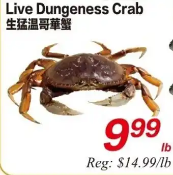 Superking Supermarket Live Dungeness Crab offer