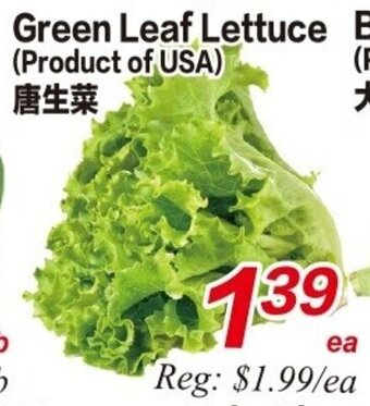Superking Supermarket Green Leaf Lettuce offer