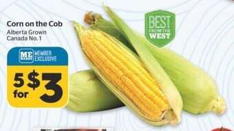 Calgary Co-op Corn on the Cob offer