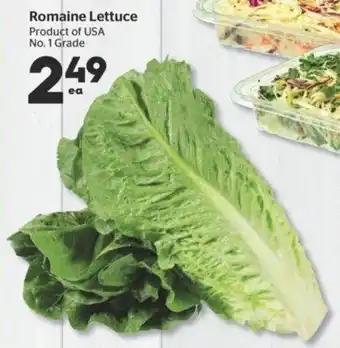 Calgary Co-op Romaine Lettuce offer