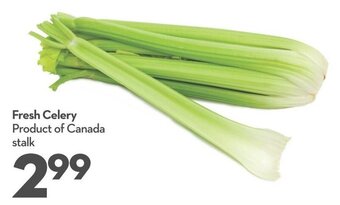 Longo's Fresh Celery offer