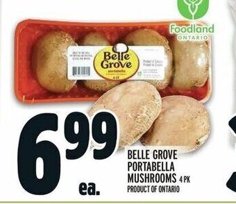 Metro BELLE GROVE PORTABELLA MUSHROOMS offer