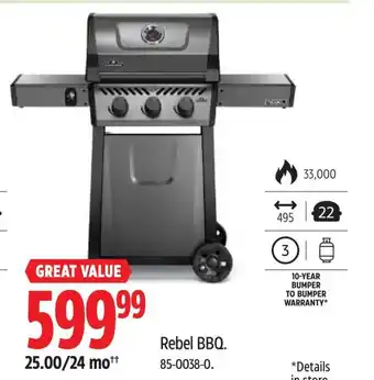 Canadian Tire Rebel BBQ offer