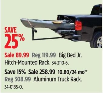 Canadian Tire Big Bed Jr. Hitch-Mounted Rack. offer